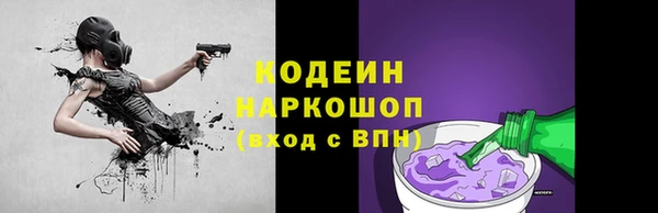 ПСИЛОЦИБИНОВЫЕ ГРИБЫ Арсеньев