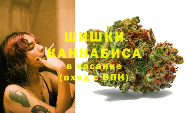 эйфоретик Аркадак
