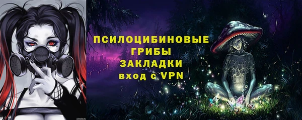 ПСИЛОЦИБИНОВЫЕ ГРИБЫ Арсеньев