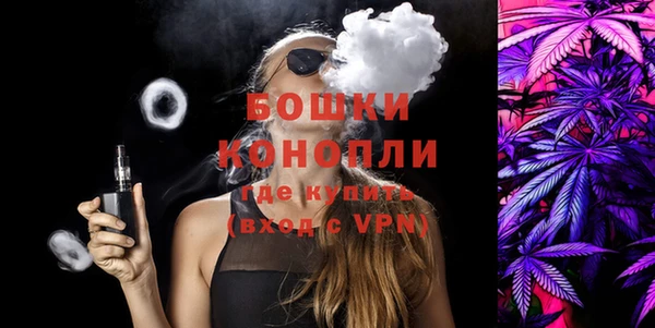 прущие грибы Новокубанск