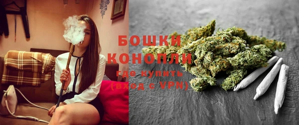 прущие крисы Армянск