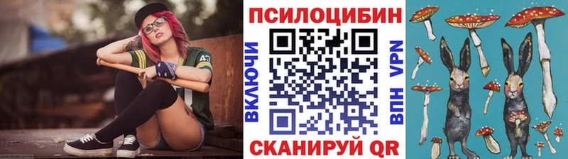 omg как войти  Долгопрудный  Псилоцибиновые грибы ЛСД 